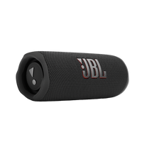 JBL Flip 6